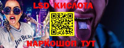 бошки Кингисепп