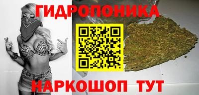 бошки Кингисепп