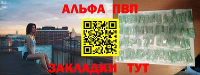бошки Кингисепп