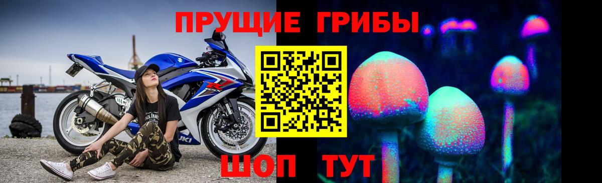 Куйбышев  Галлюциногенные грибы Magic Shrooms  цена   Вход с VPN 